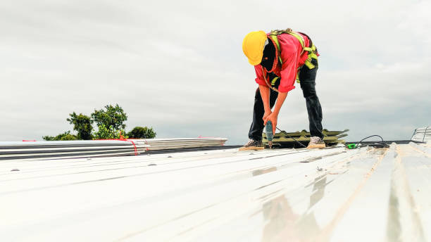 Roof Insulation in Unadilla, GA