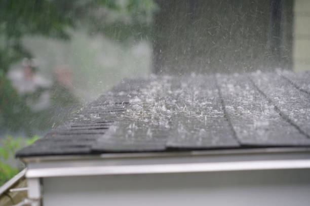 Best Roof Waterproofing  in Unadilla, GA