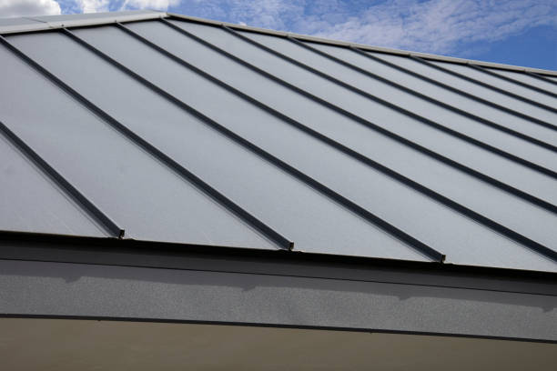 Best Sheet Metal Roofing  in Unadilla, GA